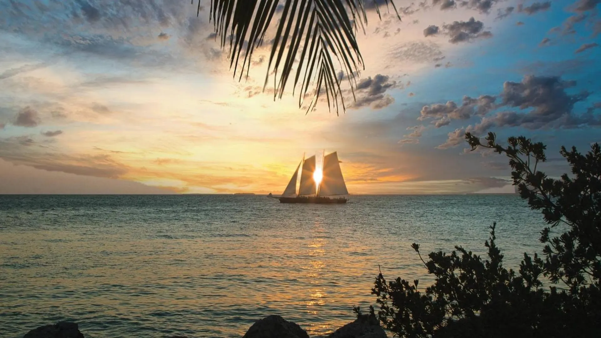 Vakantiehuis Bahamian Reed By Avantstay Walk To Everything W Community Pool Week Long Stays Only Key West
